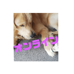 YUKORIN_20190729101108