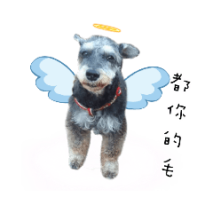 Oh! My胖