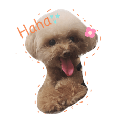 噗斗歐藤