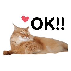 ソラくんの日常スタンプ2