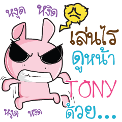 TONY Rabbit naughty cute e