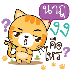 NAT Sesa cat_S