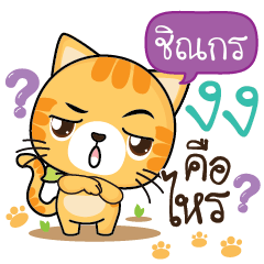 CHINAKORN Sesa cat_S