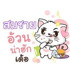 SOMCHAI Seenuan cat_E