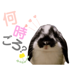 Goromaru_20190729160450
