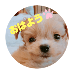 haruru_20190729153033