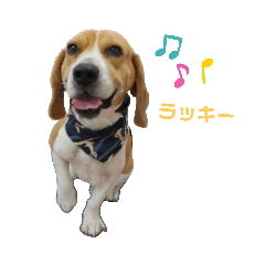 Takashi_20190727205040