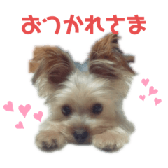 risa_20190729204843