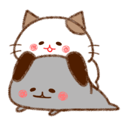 mizime chan and urami chan (Dogsandcats)