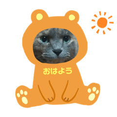 pet kwaii