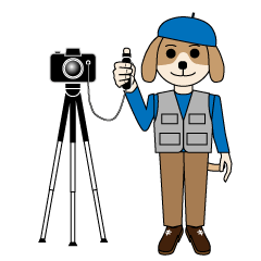 Here comes the photographer dog!