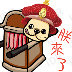 Head and big life everyday