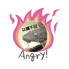 ！小小動物園！