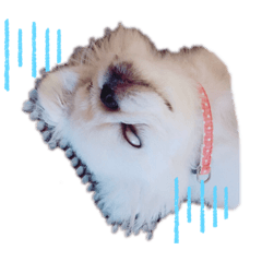 moo_20190729215911