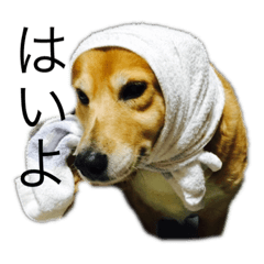 Asuka_20190729223940