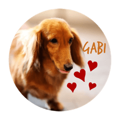 GABI &wine time