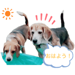 chappy_20190727234108