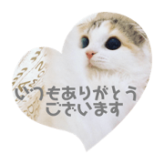 komugi_20190728012307
