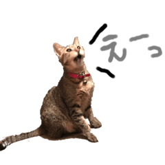 haruna_20190730101251