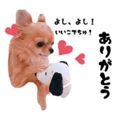 mame_20190730101905