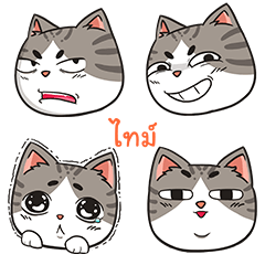 TIME trollcat emoji