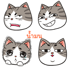 NAMMON trollcat emoji