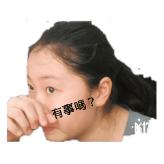 家人與寵物