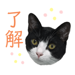 2019.yukichi.by.ys