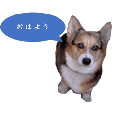 Ken_20190730164950
