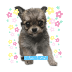 mimi_20190730174724