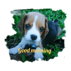 emily_20190730214558
