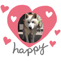 hana_20190730191744