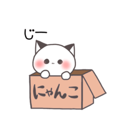 nyankobox