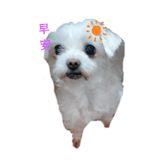 牛牛3
