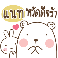 NAT Bear and Little Rabbit