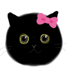 catcat39