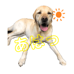 hikari_20190730212510