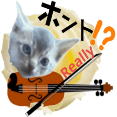 kitten stickers musical
