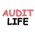 Real Life Auditor