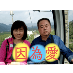 貓咪與帥哥