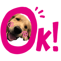 AO_20190731114924