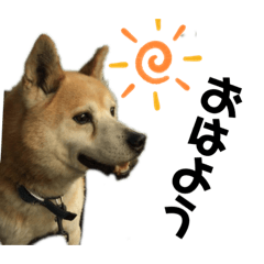 peace_20190731121947