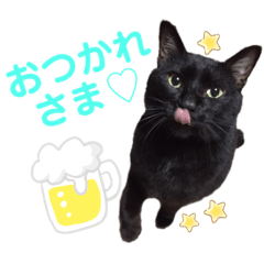 riho_20190730202726