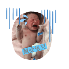 銨銨的人生哲學