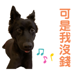 米克斯黑寶生活日常