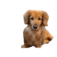 max's stamp 0724