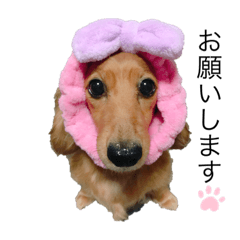 Yukari_20190731174844