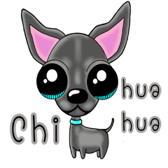 Chihuahua (Black dog)