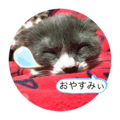 ryota_20190731210352