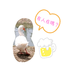 動物園的日常